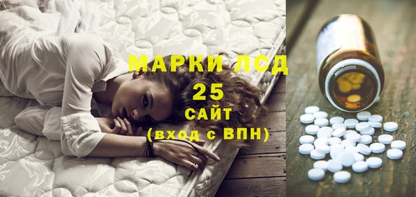 apvp Кукмор