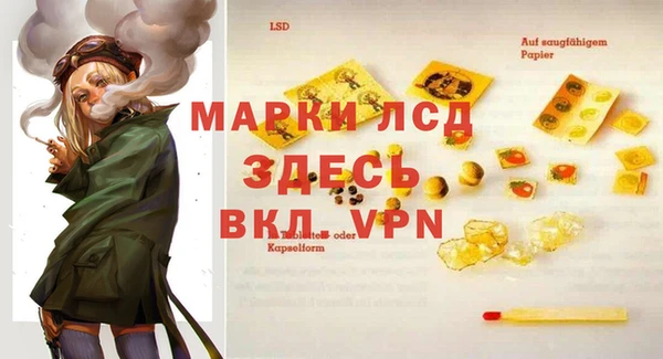 apvp Кукмор