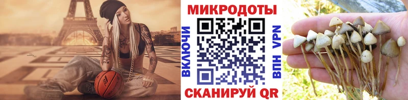 Галлюциногенные грибы Magic Shrooms  Купить  Почеп 